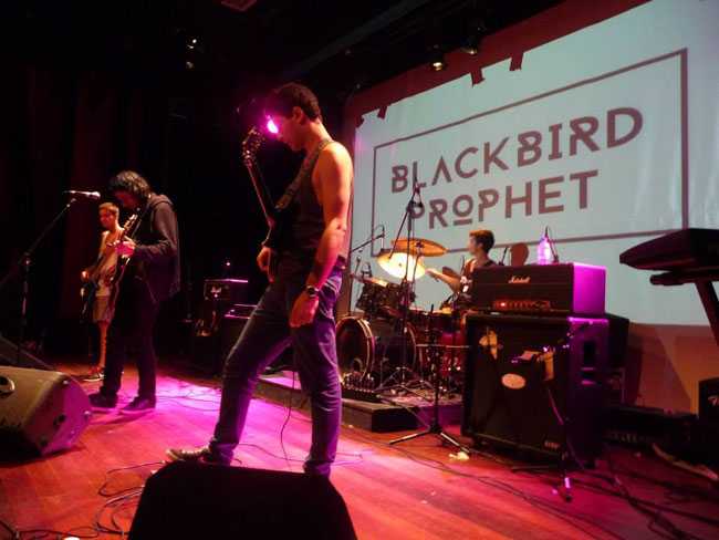 Blackbird Prophet